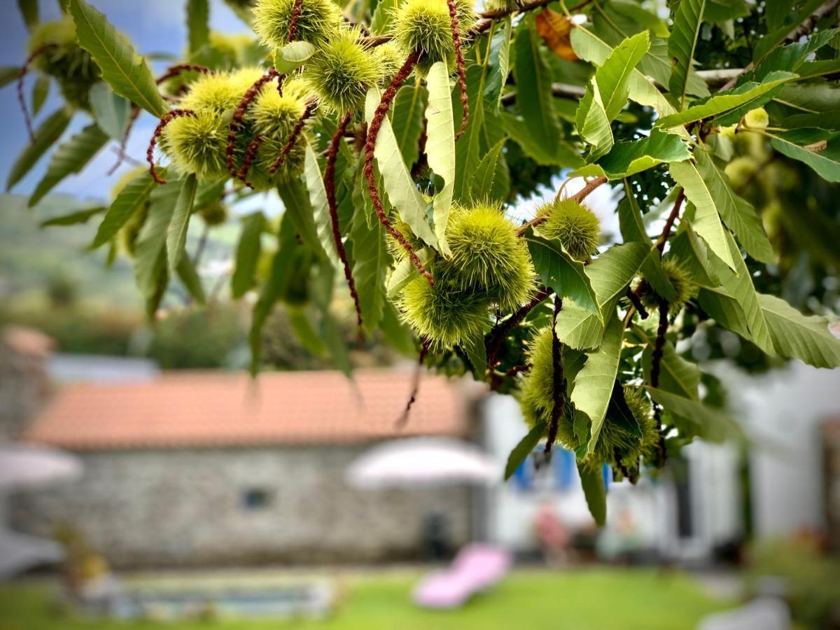 Casa Do Milhafre - Villaverde Azores Feteiras المظهر الخارجي الصورة